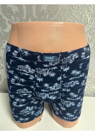 İnti Erkek Boxer Çok Renkli-6