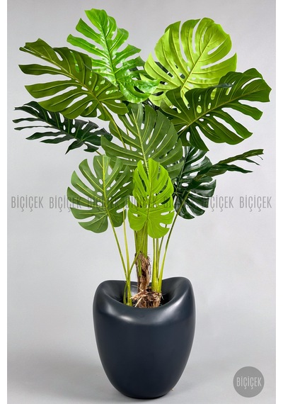 Yapay Monstera Ağacı Deve Tabani 170 Cm Antresi T Lale Saksıda Antresit