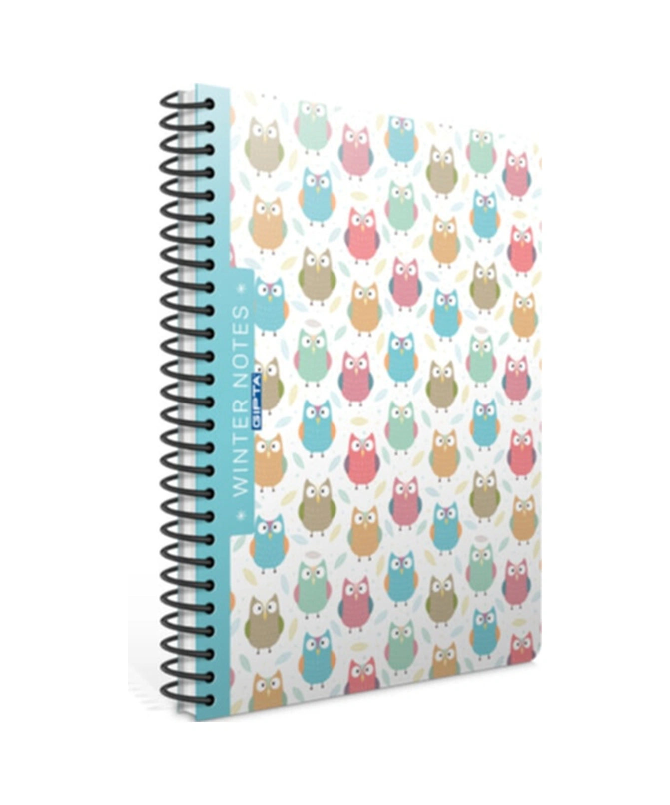 Winter A4 Spiralli Ofset Pp Kapak Defter 80 Yaprak Kareli 4 Lü Paket 1164