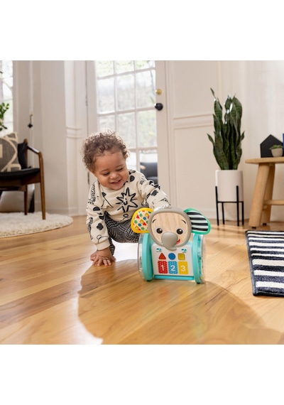 Baby Einstein Chase & Tap Emekleme Oyuncağı Fil Earl