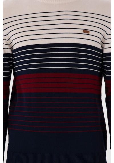 U.S. Polo Assn. Erkek Lacivert Kazak 50297071-VR033