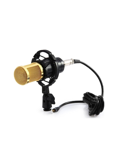 Bm800 Stüdyo Kayıt Youtuber Mikrofonu Seti + Stand + Pop Filtre Bm800 Stüdyo Kayıt Youtuber Mikrofonu Seti + Stand + Pop Filtre