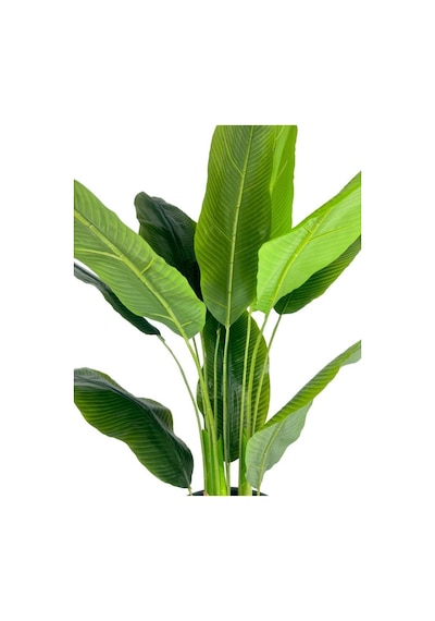 Yapay Starliçe Muz Ağacı Beyaz Kumsal Vazoda Muz Ağacı Yapay Starliçe 150cm 12 Yaprak
