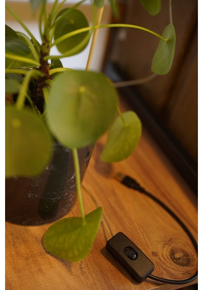 Tam Spektrumlu Bitki Yetiştirme Led Lamba Melek Halka Günışığı 8w 5v Usb