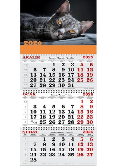 2026 Yılı Gemici Takvimi-kara Kedi