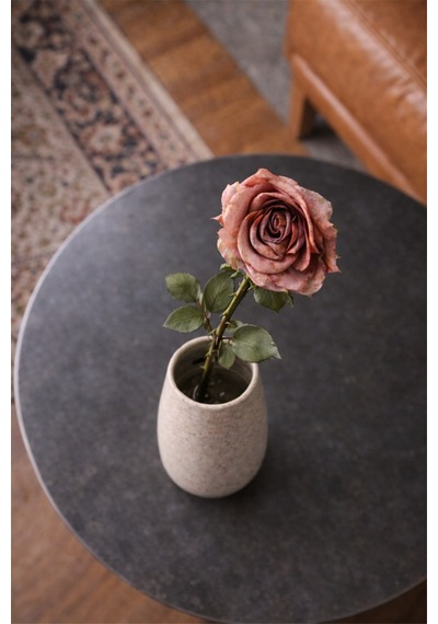 Blush Rose Yapay Gül Çok Renkli
