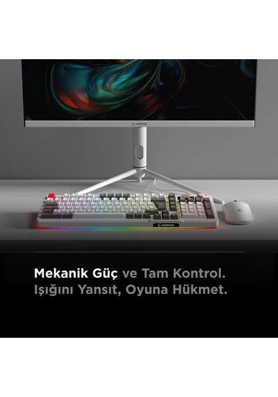 Loyal Usb Hot Swap Rgb Red Switch Mekanik Gaming Oyuncu Klavye Beyaz/gri