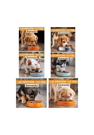 Teolix Somonlu Yetişkin Köpek Maması 15 Kg %25 Protein %12 Yağ