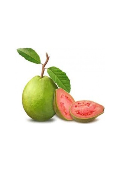 Guava Tohumu 10 Adet N11444