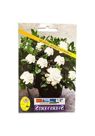 Gardenya Çiçeği Tohumu, Bahçenizi Renklendirmek İçin