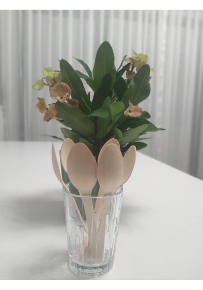 Kullan At Ahşap Tahta Kaşık Çatal Bıçak Set 24 Lü 16 Cm 8 Çatal +8 Kaşık + 8 Bıçak Bej