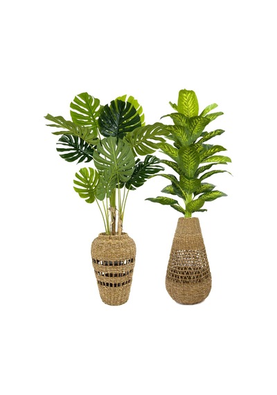Biçiçek Yapay Monstera Ve Di̇fenbahya Ağacı Bohem Saksıda