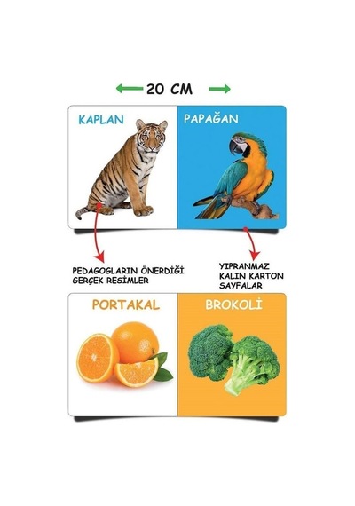 2090 Dıytoy. İlk Kütüphanem-Ilk Sözcükler 8'Li Mini Kitap   Seti