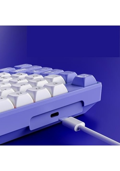 Ak870 Mc Kablolu Mekanik Oyun Klavyesi Mor Klavye Red Switch