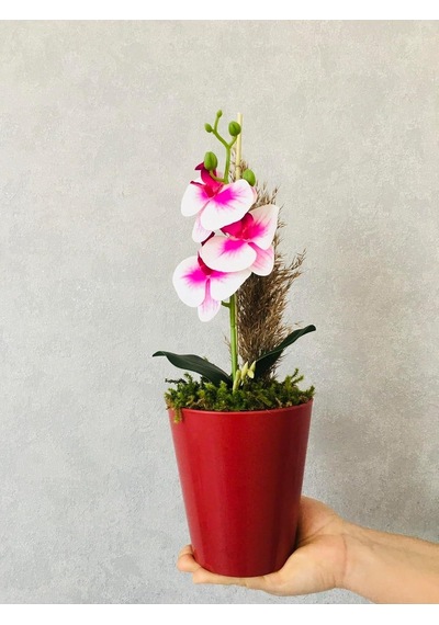 Orkide Yapay Çiçek, 38 Cm, Pembe-beyaz, Saksıda Diğer