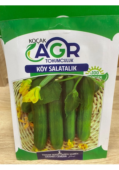 Agr Köy Salatalık Tohumu SALATALIK
