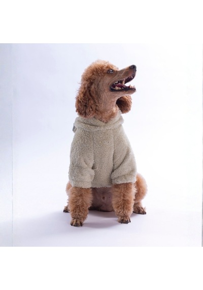 Açık Bej Lucca Teddy Hoodie Ayı Kulaklı Peluş Köpek Kıyafeti Kedi Kıyafeti Köpek Sweati