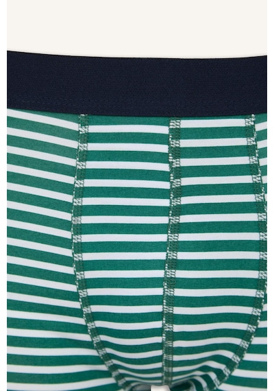 Defacto Regular Fıt Çizgili 3lü Boxer E9580ax26spnv135 Lacivert-nv135