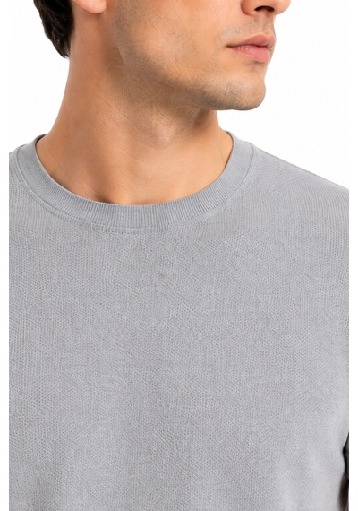 Raymons Erkek Sıfıryaka Triko Tişört Regular Kalıp Bgl-st05567 Gri