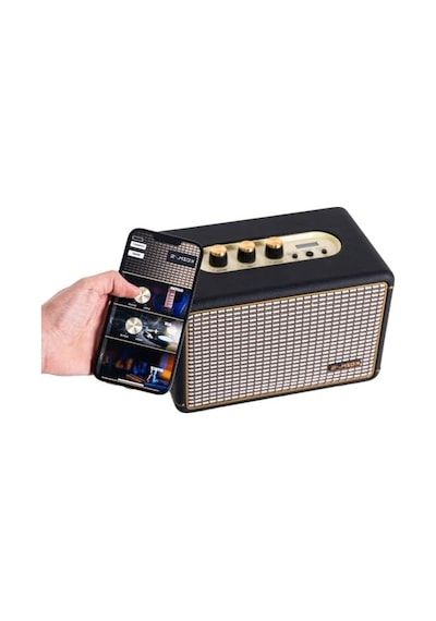 El Gitarı Amplifikatörü Siyah Renk, Yüksek Ses Kalitesi