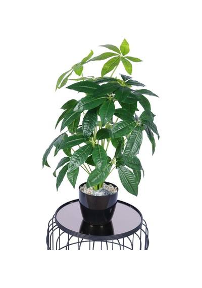 Yapay Çiçek Sitesi Yapay Refah Çiçeği Bitkisi 70 Cm Yeşil