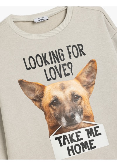 Koton Oversize Sweatshirt Uzun Kollu Bisiklet Yaka Köpek Baskı Detaylı Şardonlu Gri 5wkb10567tk Gri