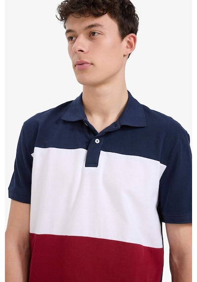 DeFacto %100 Pamuk Regular Fit Polo Yaka Bloklu Kısa Kollu Tişört D7940AX25SPNV135