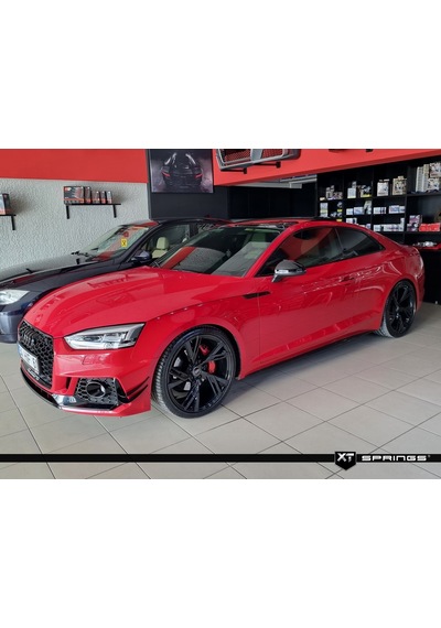 Audi A5 B9 Coupe 1.4 Tfsi/2.0 Tdi XT Spor Yay -35mm
