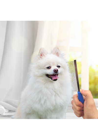 Kısa Tüy Uzun Tüy Kıtık Açıcı Metal Kedi Köpek Tarağı
