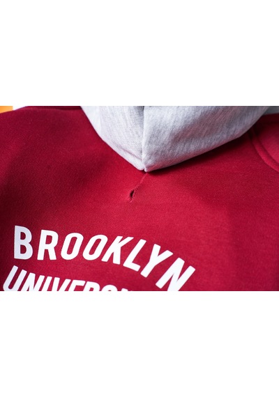 Salya Store Baseball Hoodie Köpek Kıyafeti Köpek Kapüşonlu Bsb101