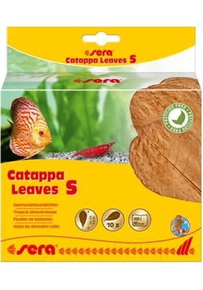 Sera Catappa Yaprağı S 14 CM (10 Adet)