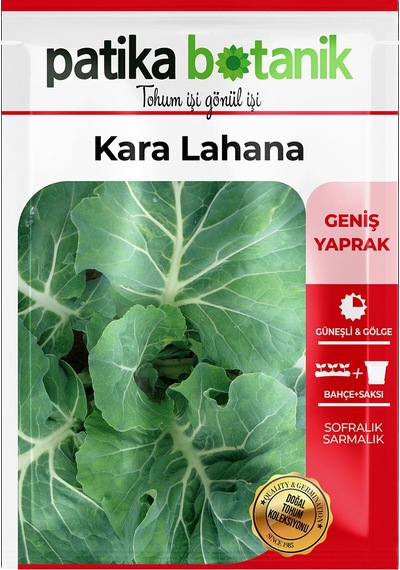 Patika Botanik 1000 Adet Kara Yaprak Lahana Tohumu