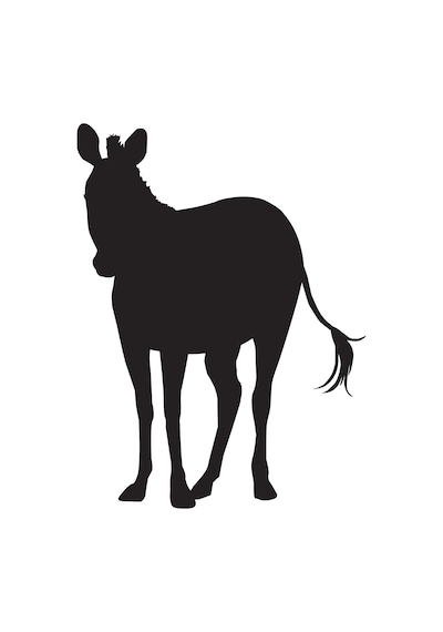 Zebra Folyo Sticker 80cm Uzunluk Siyah