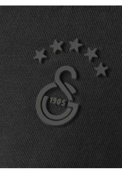 Gsstore Galatasaray Çocuk T-shirt C252099 Siyah