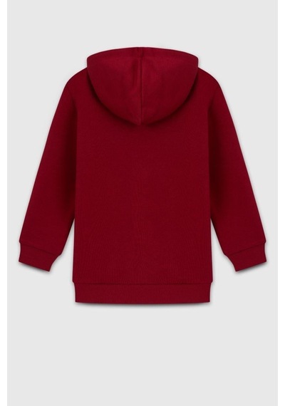 United Colors Of Benetton Erkek Çocuk Bnt-b23341 Sweatshirt Bordo-2127 Bordo