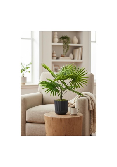 Yapay Salon Bitkisi Fan Palmiye 50 40cm 8yaprak Plastik Antrasit Saksıda Yeşil