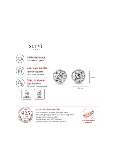 Servi 925 Ayar Gümüş Pure Light 4 Mm Zirkon Taşlı Tektaş Küpe-525