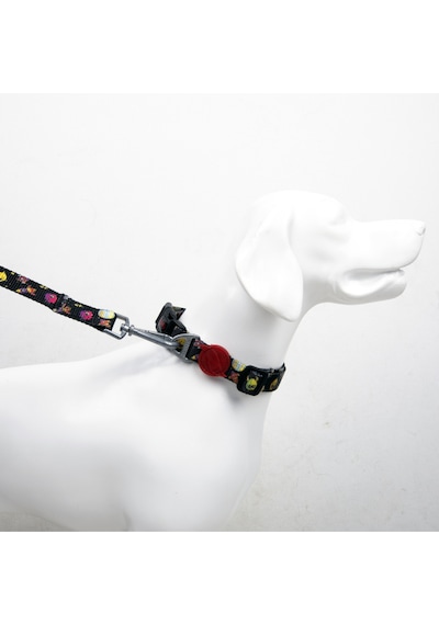 Rainbow Boyun Tasmaları Ayarlanabilir Dayanıklı ve Konforlu Köpek Desenli Boyun Tasması L