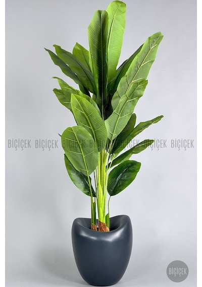 Biçiçek Yapay Muz Ağaci 210 Cm 4 Gövdeli̇ 21 Yaprak Antresi̇t Lale Saksıda