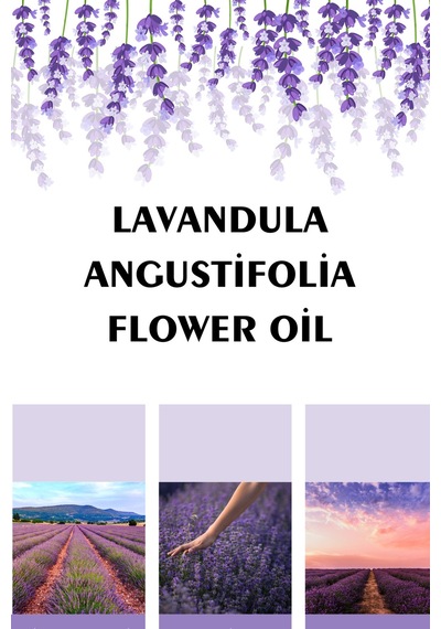 Lavanta Yağı 10 Ml - %100 Seyreltilmemiş, Doğal Seyreltilmemiş Lavanta Uçucu Yağı 20 ML
