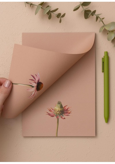 The Mia Art Line Mini Notluk Coneflower 15x21 Cm 40 Yaprak