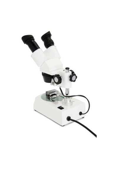 Celestron Labs S10-60 Stereo Mikroskop