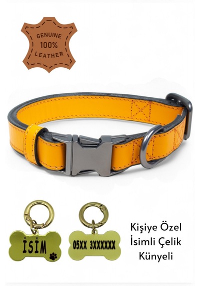 Hakiki Deri Köpek Boyun Tasması, Kişiye Özel Künyeli Lux Seri Hrd Diğer
