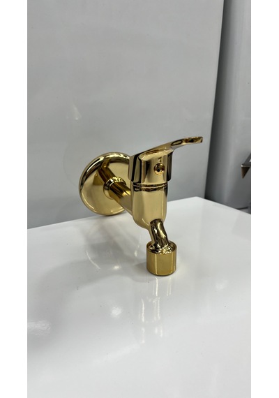 Altın Duvardan Aç Kapa Wc Musluk