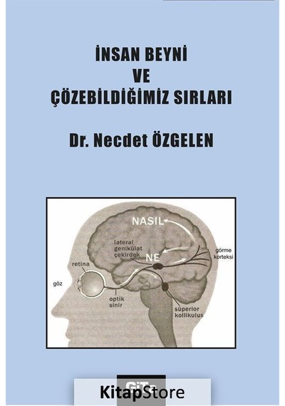 İnsan Beyni ve Çözebildiğimiz Sırları / Dr. Necdet Özgelen