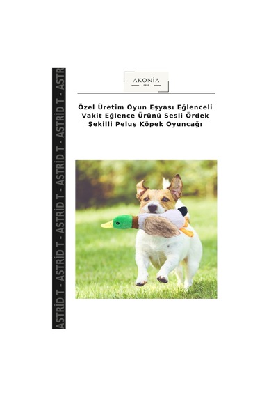 Özel Üretim Oyun Eşyası Eğlenceli Vakit Eğlence Ürünü Sesli Ördek Şekilli Peluş Köpek Oyuncağı