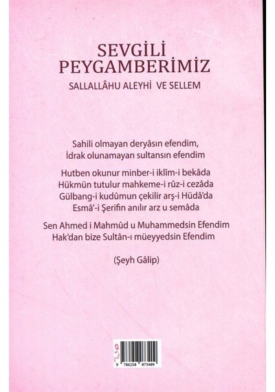 Sevgili Peygamberimiz Sallallâhu Aleyhi Ve Sellem / Ömer Reh...