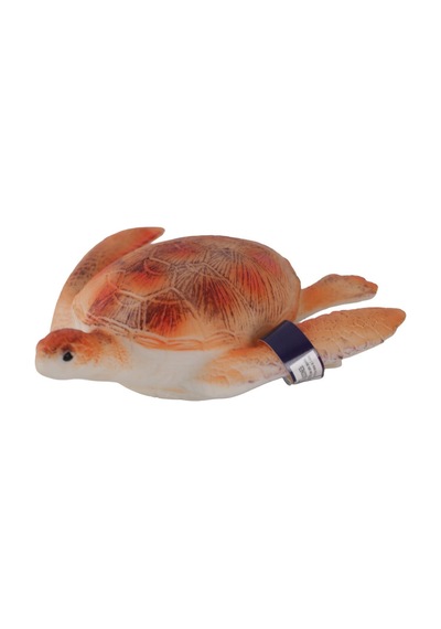 A8155-bs007 Kt Deniz Hayvanları 12 Asst