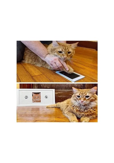 Ers Kedi Köpek Pati İzi Fotoğraf Çerçevesi Seti