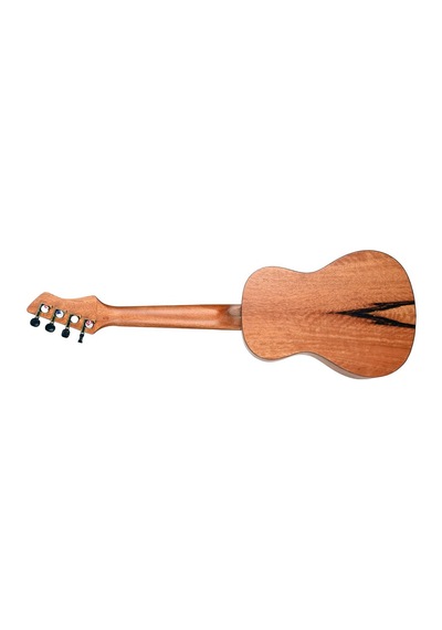 Ortega Ruhz-cc Horizon Series Concert Ukulele